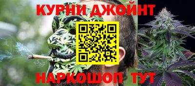 сатива Ангарск