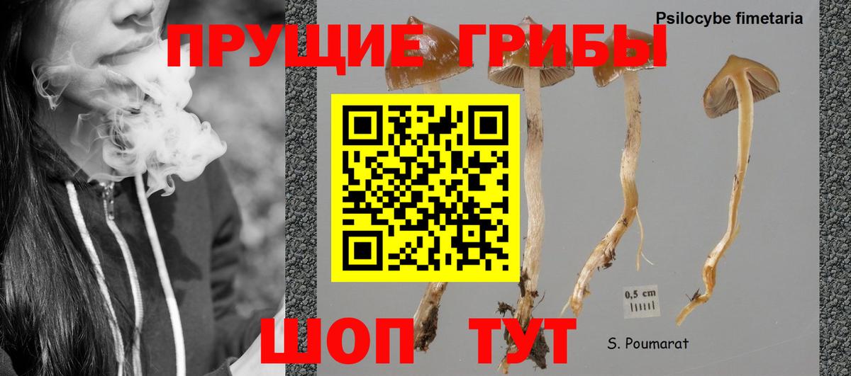 Лыткарино  Псилоцибиновые грибы мицелий  Вход с VPN 